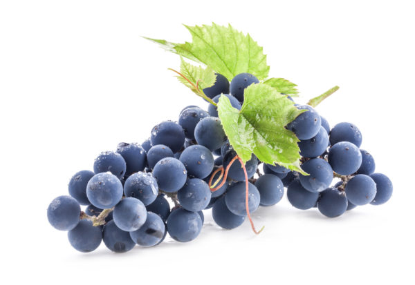 Bordeaux grapes – A Wine Masterclass & Luxury Wine Tour