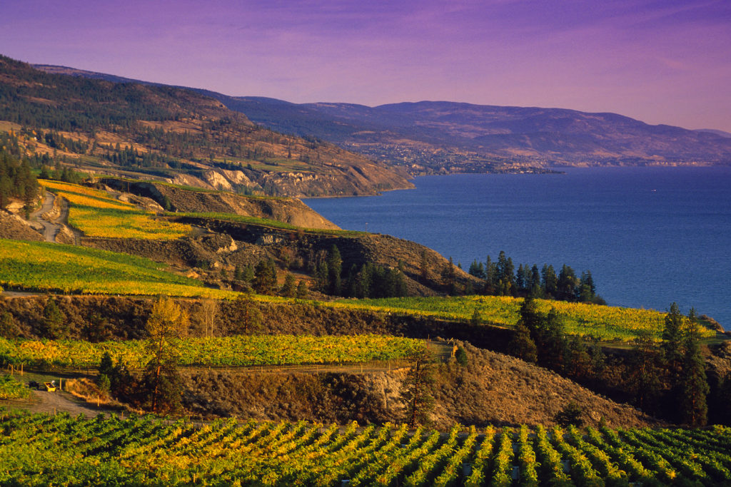 The Okanagan Valley (wine region) - wine producing area canada