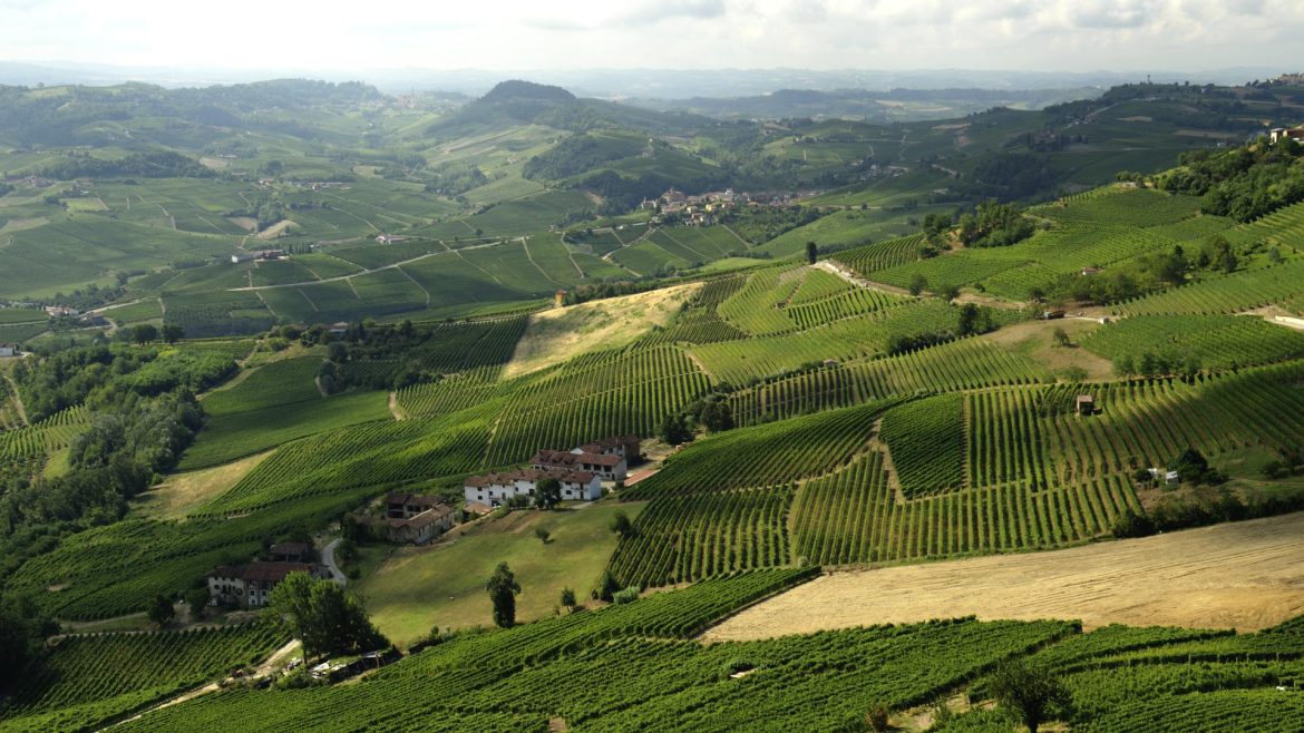 italiyan-wine-landscape italiyan-wine-landscape