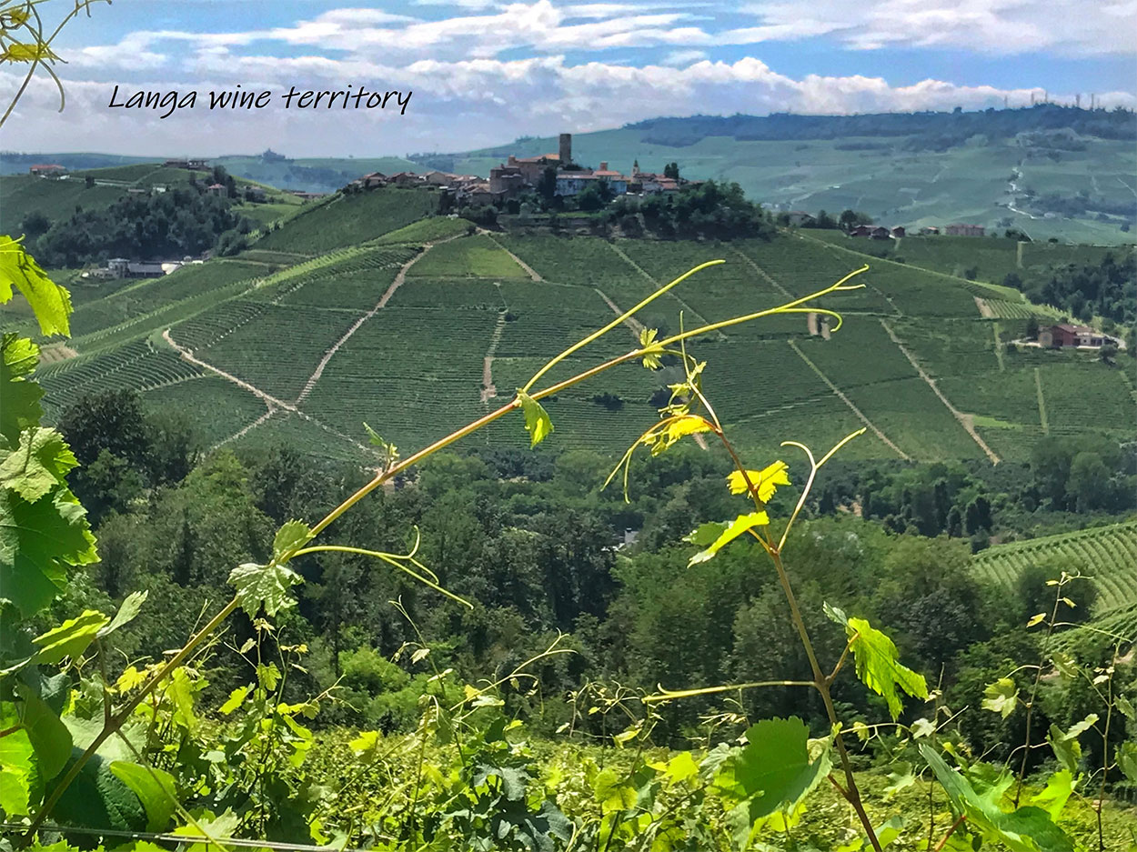 Piedmontese-wine-territory-Italy-10